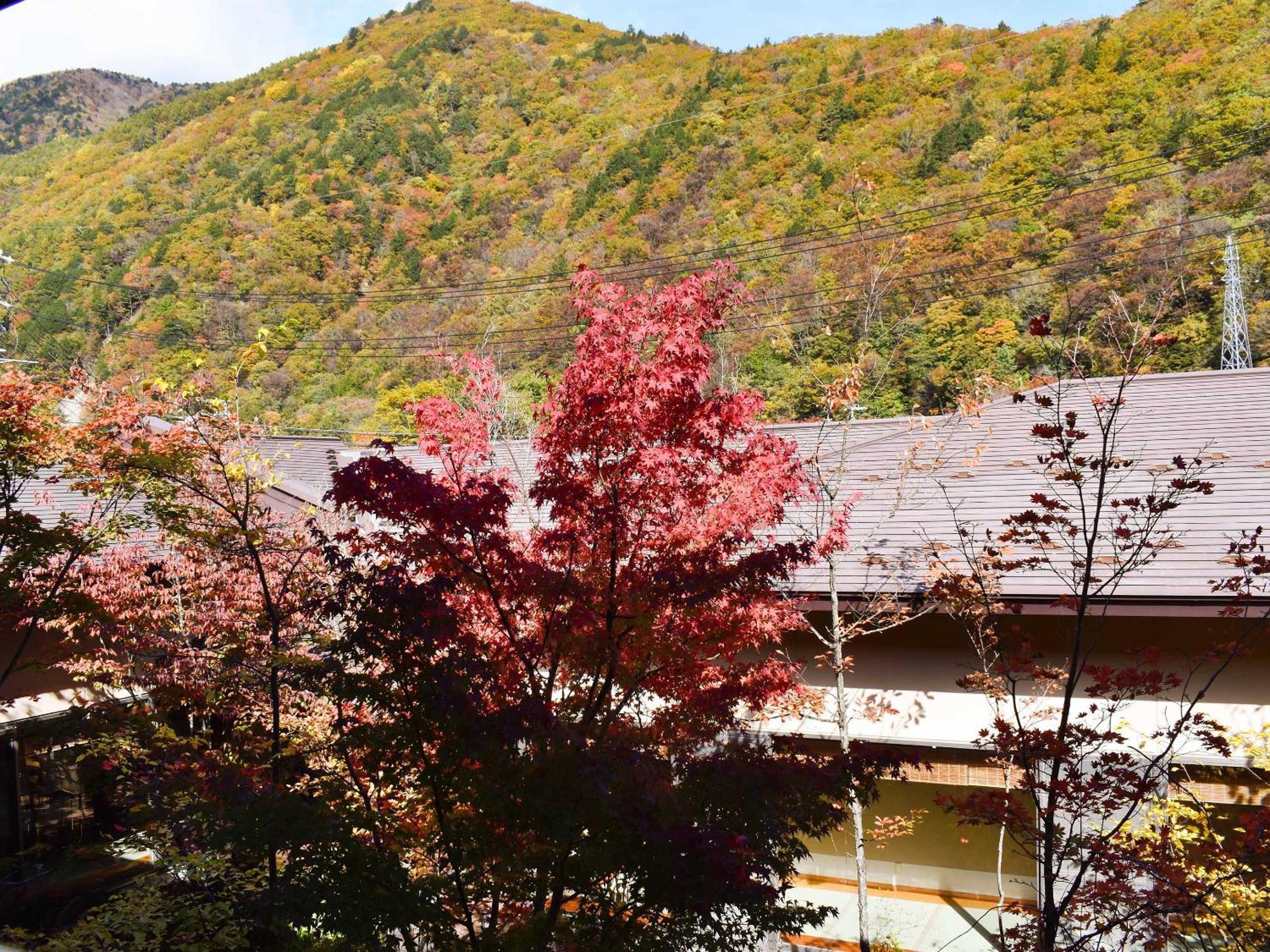 Keiryuso Siorie Hotel Matsumoto Exterior photo